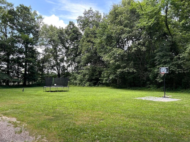 340 State Route 4, Marion, OH 43302 - view of grassy yard with a trampoline