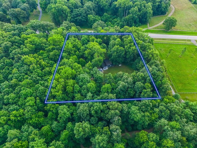 340 State Route 4, Marion, OH 43302 - photo 26