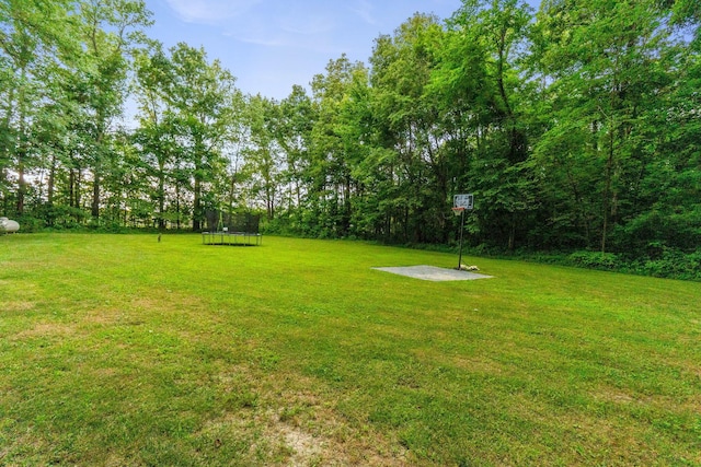 340 State Route 4, Marion, OH 43302 - photo 25