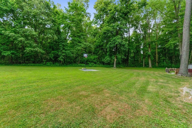 340 State Route 4, Marion, OH 43302 - photo 23