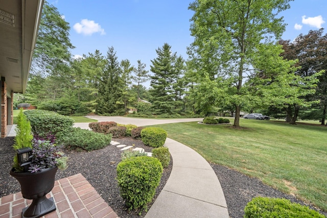 2125 Carriage Rd, Powell, OH 43065 - photo 11