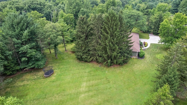 2125 Carriage Rd, Powell, OH 43065 - photo 49