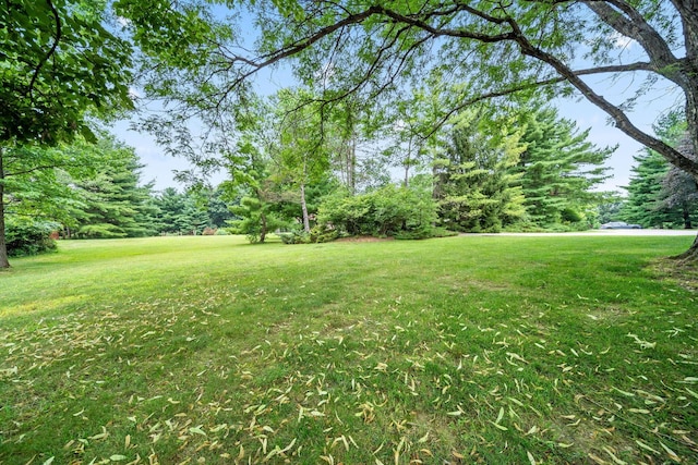 2125 Carriage Rd, Powell, OH 43065 - photo 68