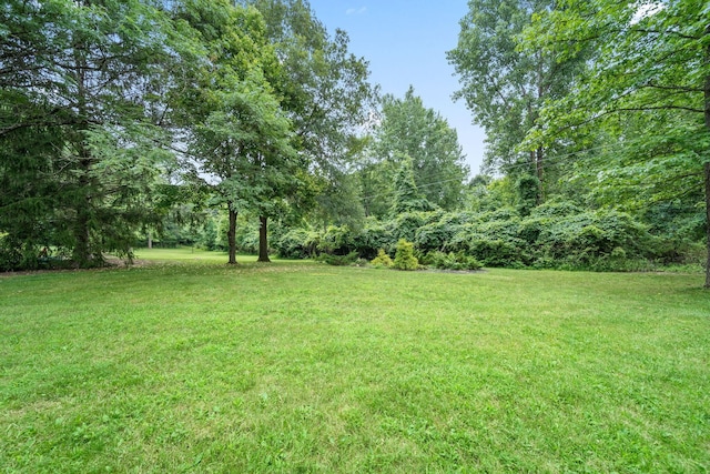 2125 Carriage Rd, Powell, OH 43065 - photo 69