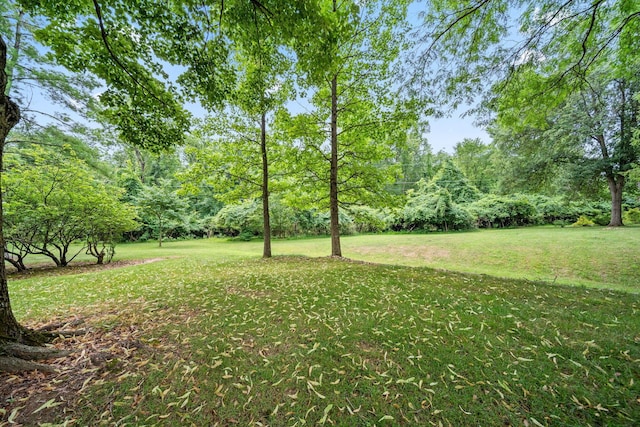 2125 Carriage Rd, Powell, OH 43065 - photo 70