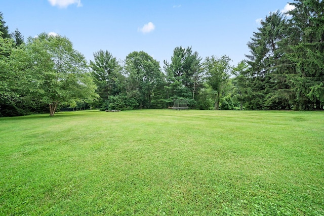 2125 Carriage Rd, Powell, OH 43065 - photo 72