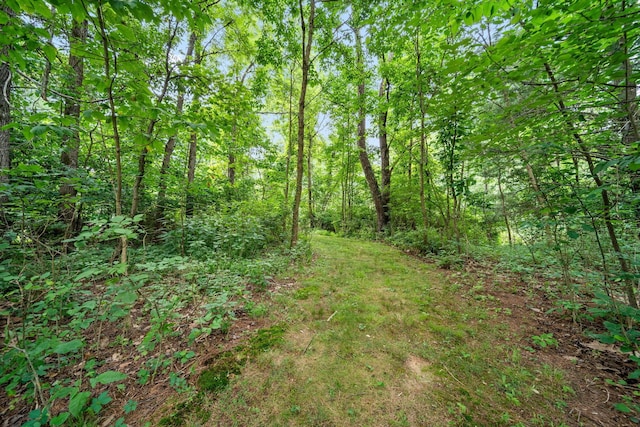 2125 Carriage Rd, Powell, OH 43065 - photo 75
