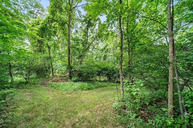 2125 Carriage Rd, Powell, OH 43065 - photo 76