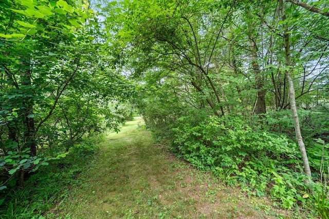 2125 Carriage Rd, Powell, OH 43065 - photo 77