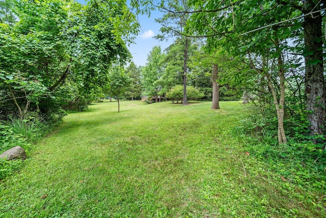 2125 Carriage Rd, Powell, OH 43065 - photo 78