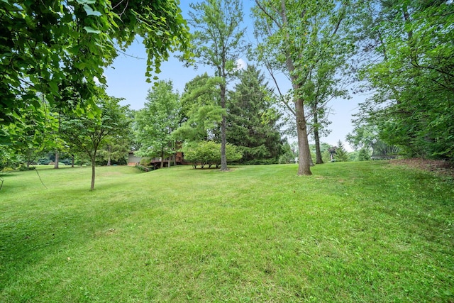 2125 Carriage Rd, Powell, OH 43065 - photo 79