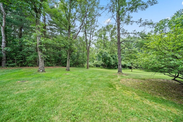 2125 Carriage Rd, Powell, OH 43065 - photo 81