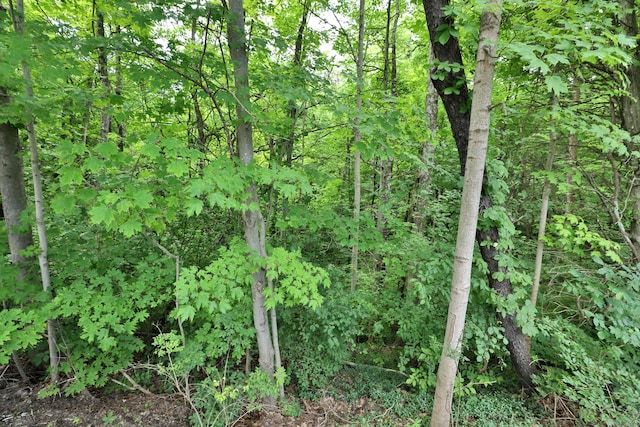 322 Hidden Ravines Dr, Powell, OH 43065 - photo 35