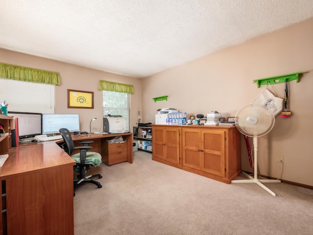 2883 Castlebrook Ave, Hilliard, OH 43026 - home office with light carpet and a textured ceiling