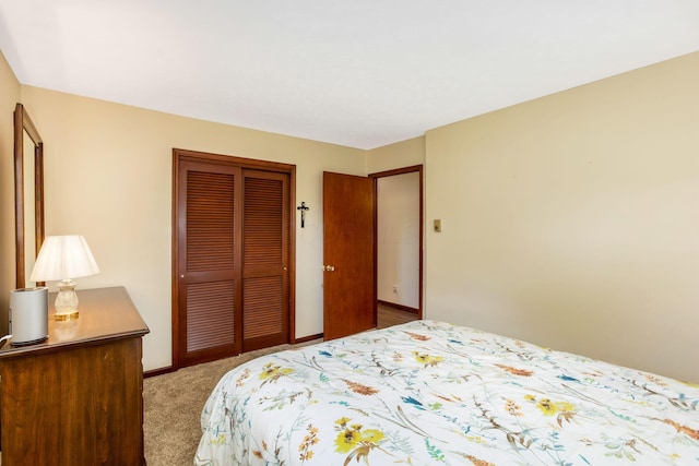3251 Old Mill Rd NE, Lancaster, OH 43130 - bedroom featuring a closet and carpet floors