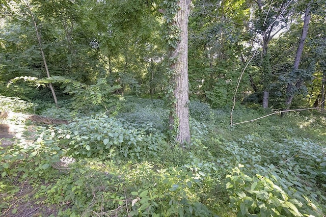 261 Superior St, Mansfield, OH 44902 - view of wooded area