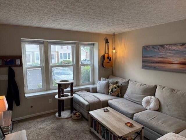 796 Cap Ln Unit 21C, Columbus, OH 43085 - living area with carpet floors and a textured ceiling