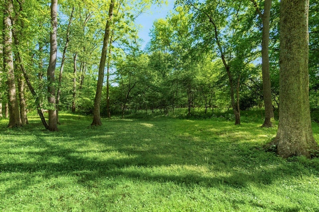 29 Meadowbrook Dr, Mount Vernon, OH 43050 - photo 54