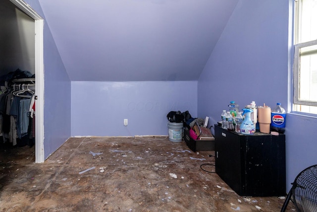 324 Quarry St, Marion, OH 43302 - bedroom with lofted ceiling, a walk in closet, and a closet
