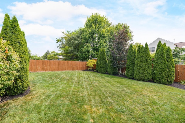 2328 Shelby Ln, Hilliard, OH 43026 - photo 32