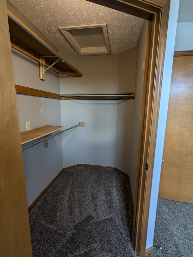5813 Thada Ln, Columbus, OH 43229 - walk in closet with attic access and carpet flooring