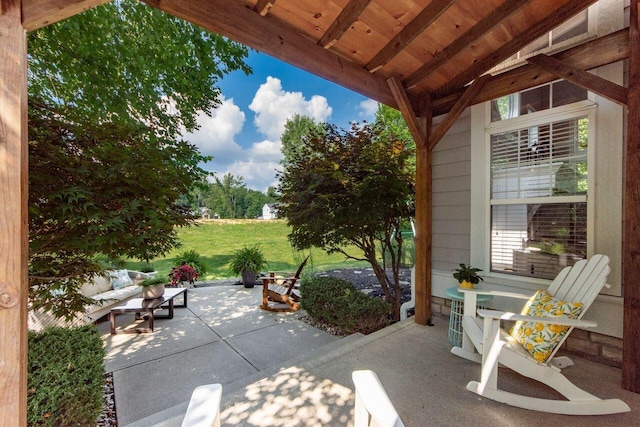 1138 Forsyth Ln, Galena, OH 43021 - photo 50