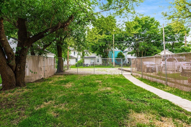 139 S Princeton Ave, Columbus, OH 43222 - view of yard