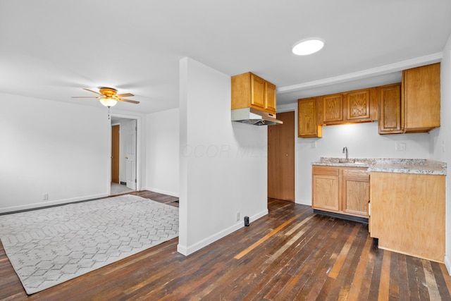 5369 Quincy St, Harpster, OH 43323 - kitchen with under cabinet range hood, dark wood-type flooring, ceiling fan, and brown cabinetry