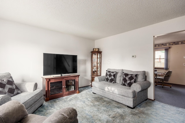 229 Danbury Rd, West Jefferson, OH 43162 - carpeted living room with a textured ceiling