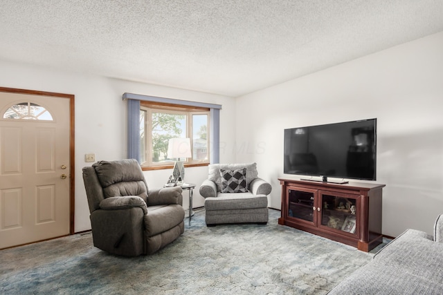 229 Danbury Rd, West Jefferson, OH 43162 - carpeted living area with healthy amount of natural light and a textured ceiling