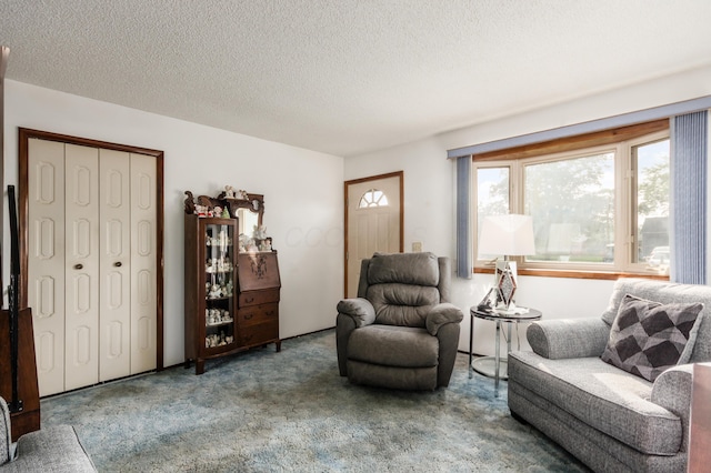 229 Danbury Rd, West Jefferson, OH 43162 - living room with carpet and a textured ceiling