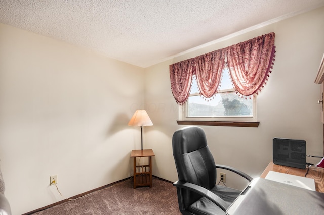 229 Danbury Rd, West Jefferson, OH 43162 - home office featuring a textured ceiling and carpet flooring