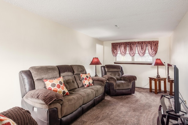 229 Danbury Rd, West Jefferson, OH 43162 - carpeted living room featuring a textured ceiling