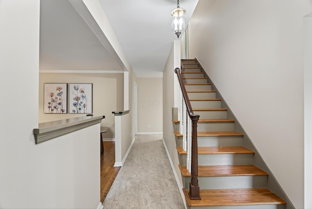 4368 Airendel Ct, Columbus, OH 43220 - stairway featuring baseboards