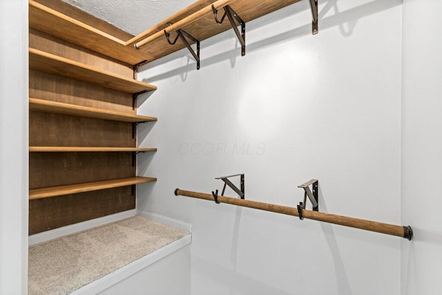 3155 El Greco Dr, Columbus, OH 43204 - view of walk in closet