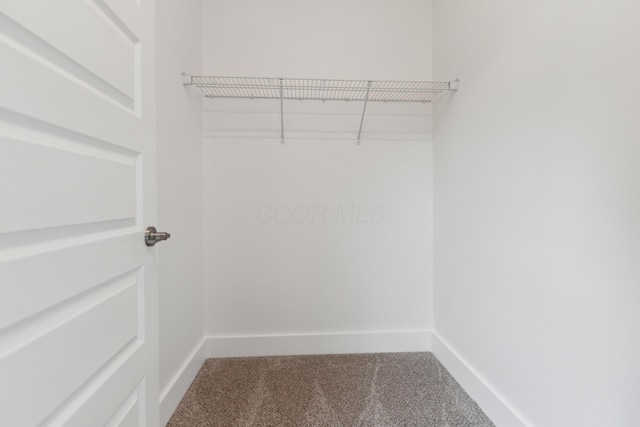 875 Bellows Ave, Columbus, OH 43223 - walk in closet with carpet flooring