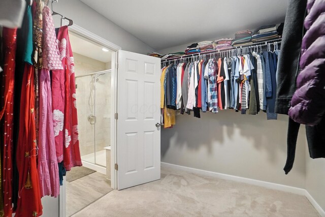 6763 Morningside Heights Pl, Westerville, OH 43081 - photo 40