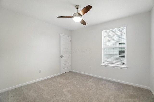 5641 Godetia St, Westerville, OH 43081 - photo 54