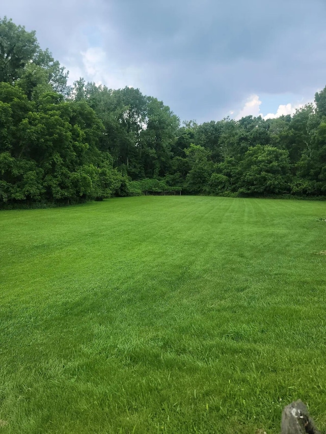 4867 Foxcroft Ct, Columbus, OH 43232 - view of grassy yard with a wooded view