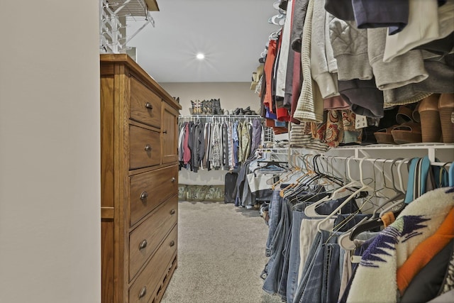 7250 Konold Ct, Canal Winchester, OH 43110 - walk in closet with carpet floors