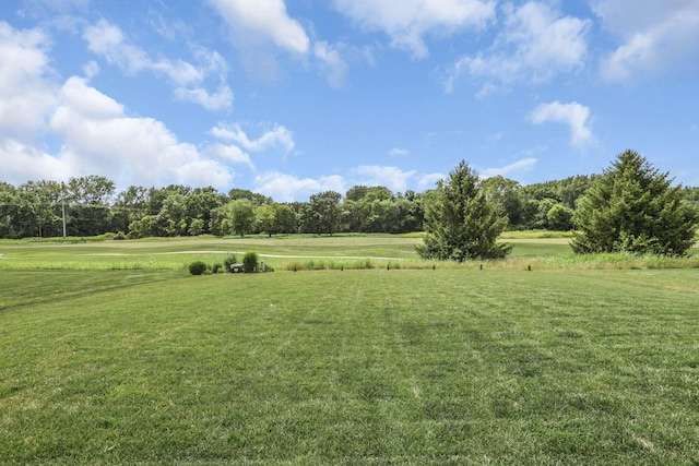 7250 Konold Ct, Canal Winchester, OH 43110 - view of green lawn featuring view of scattered trees