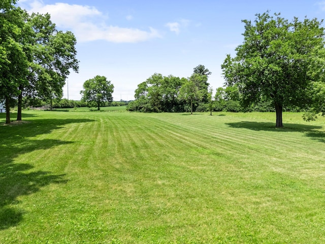 1178 London Rd, West Jefferson, OH 43162 - view of green lawn