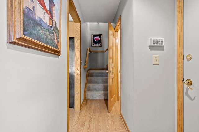 6092 Winnebago St, Grove City, OH 43123 - photo 29