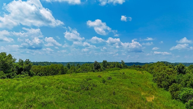 2772 Township Road 177, Willow Wood, OH 45696 - photo 4