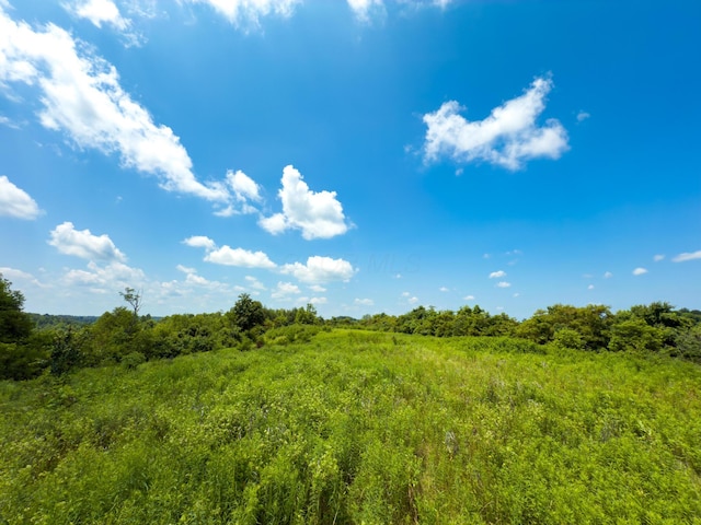 2772 Township Road 177, Willow Wood, OH 45696 - photo 10