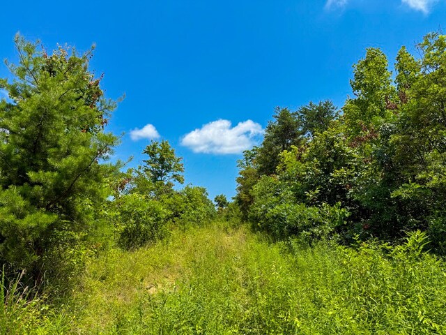 2772 Township Road 177, Willow Wood, OH 45696 - photo 11