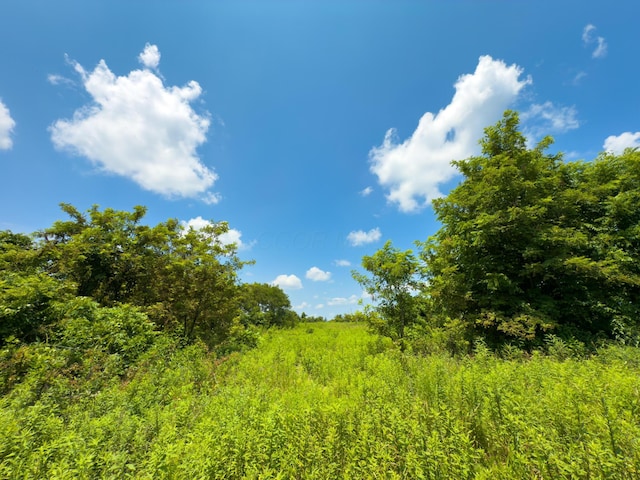 2772 Township Road 177, Willow Wood, OH 45696 - photo 13