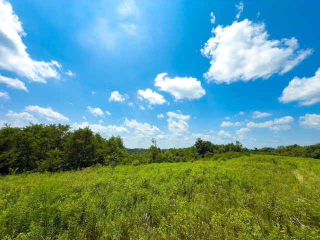 2772 Township Road 177, Willow Wood, OH 45696 - photo 16