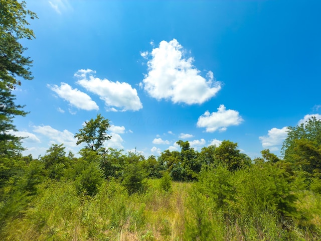 2772 Township Road 177, Willow Wood, OH 45696 - photo 18