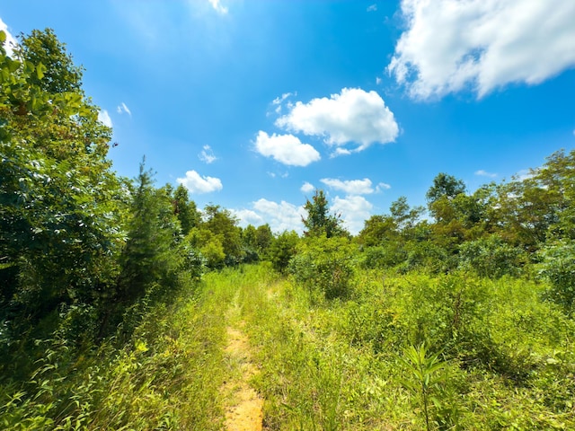 2772 Township Road 177, Willow Wood, OH 45696 - photo 19